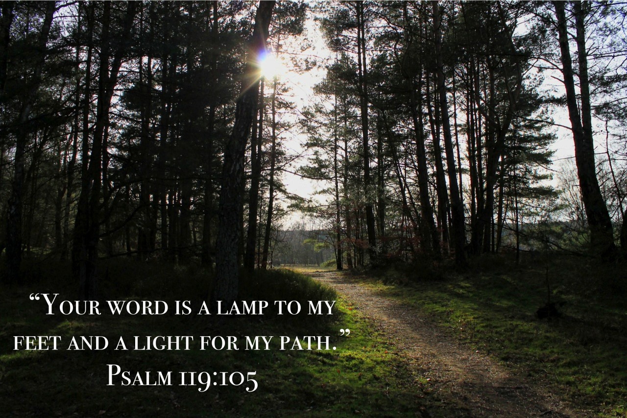 Psalm 119-105 - Preachers Corner