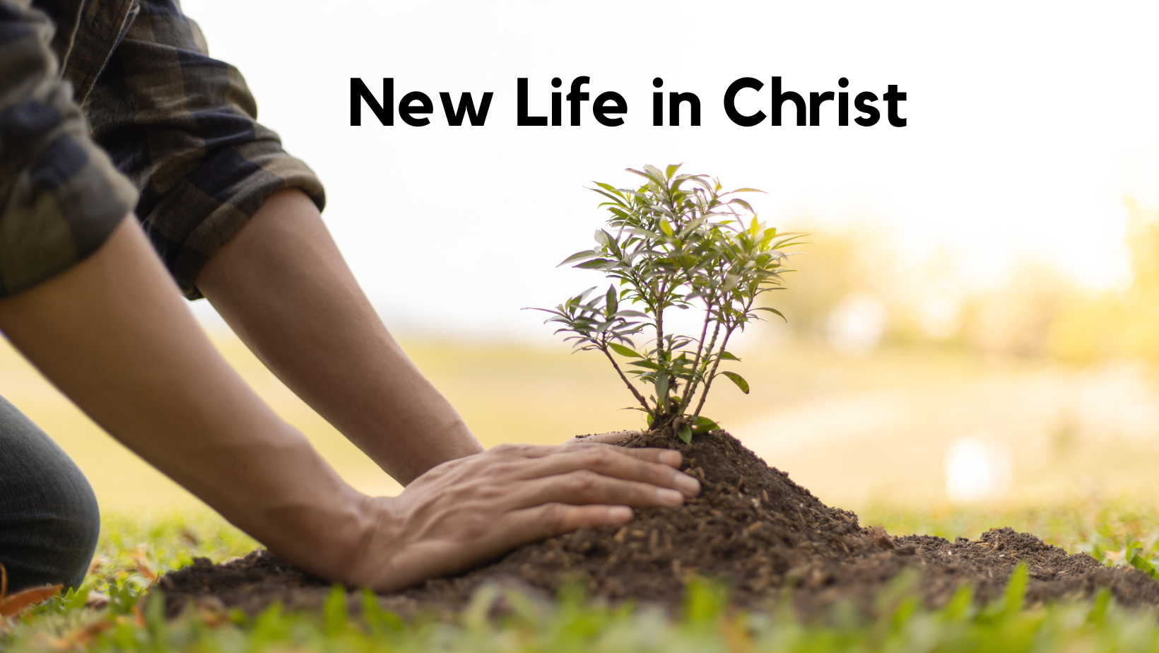 new-life-in-christ-preachers-corner